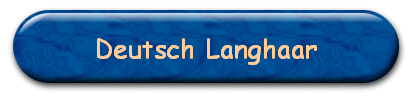 Deutsch Langhaar